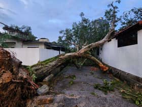 MBPJ evaluating old trees to save lives, preserve residents' properties