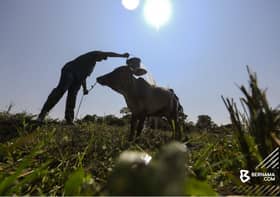 Nadma: Dana RM10 juta untuk negeri, agensi tangani impak cuaca kering