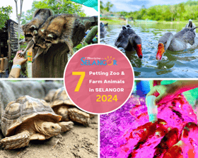 Tujuh mini zoo, ladang ternakan buat pencinta haiwan di Selangor