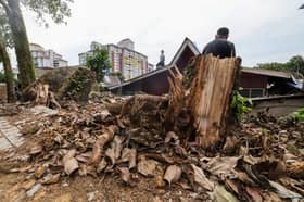 Four contractors in each KL Parliamentary area for tree maintenance — Minister