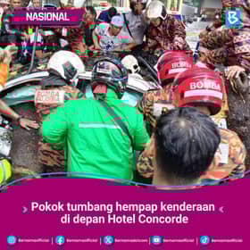 Pokok tumbang, monorel henti operasi antara stesen KL Sentral dan Medan Tuanku