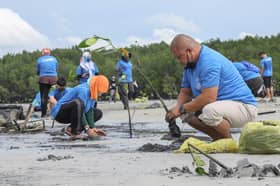 Lebih 86 juta pokok, 1,823 spesies tumbuhan ditanam sejak 2021