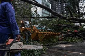 Pokok tumbang: 10 kenderaan termasuk kereta peronda polis rosak