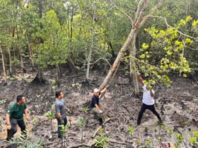 Putrajaya lauds Selangor’s forest conservation efforts, adopts similar approach