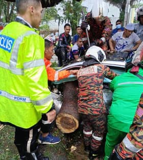 Pokok tumbang hempap 17 kenderaan, seorang maut