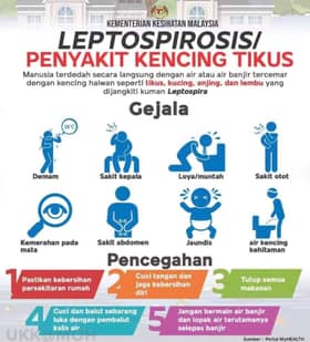 Pelajar, guru antara 33 pengunjung kolam air panas disyaki dijangkiti kencing tikus