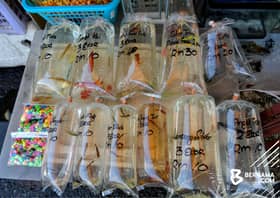 Industri ikan hiasan meningkat, penyumbang ekonomi negara