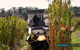 Farmers welcome Budi Madani aid, seek guidance on how to apply