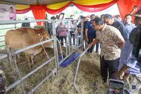 Negeri teruskan amalan sumbang ribuan lembu, kambing untuk korban