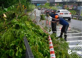 Bumbung rumah rosak akibat pokok tumbang, hujan lebat di ibu kota