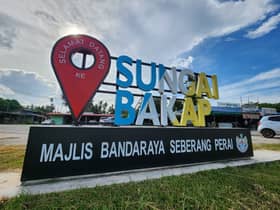 Battle for Sg Bakap starts tomorrow, Umno to give full backing to PKR's Joohari