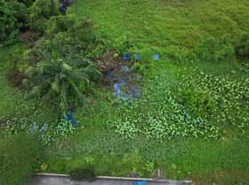 Sungai Kandis dicemari cat biru, LUAS buka kertas siasatan