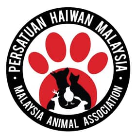 Malaysian Animal Association offers RM3,000 reward to find cat killer