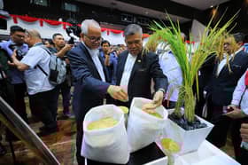 Govt mulls proposal to raise local white rice ceiling price