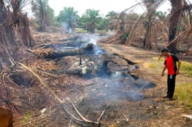 40 hektar ladang sawit terbakar, pekebun rugi jutaan ringgit