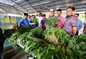 Planting seeds of sustenance