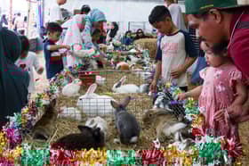 Jualan Rahmah, persembahan artis antara aktiviti menarik di Program Madani Rakyat