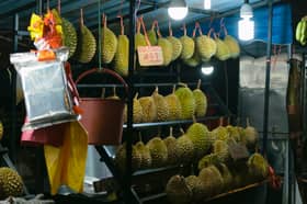 Dewan Rakyat: Govt will study aid, transition methods for high-value durians