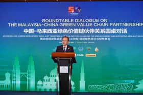 Malaysia, China to cooperate on EU deforestation rules