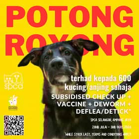 Pemilik anjing, kucing dipelawa sertai program Potong Royong