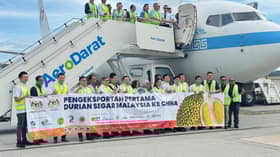 Malaysia begins exporting fresh durians to China today