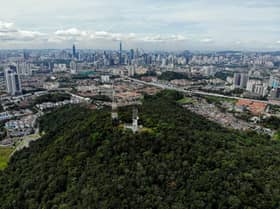 Govt moves to gazette Bukit Dinding, Pulai Trail as forest reserves