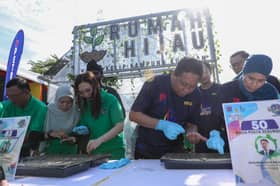 MPKS-Petron semai 33,333 anak benih berembang, tingkat populasi kelip-kelip