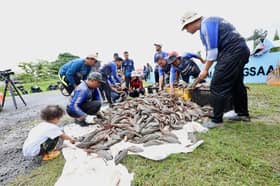 Tawar insentif tangkap ikan bandaraya, lindungi ekosistem, runtuhan tebing sungai