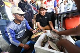 Selangor initiative to hunt pleco fish, preserve ecosystem commended