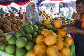 Agro Madani sales benefit over 10 mln households — Fama