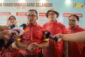 Selangor expands grain corn production to reduce import dependency — MB