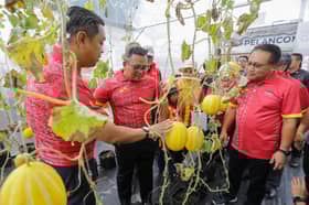 Selangor to focus on agro-modernisation, high-value crops — MB