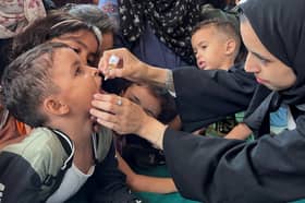 WHO: Polio vaccine campaign halted in Gaza due to Israeli bombing