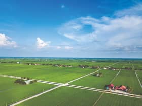 Allegations of market domination including rice cartels are baseless 