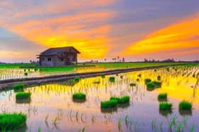 2025雪州旅游年蓄势待发   12月推介吉祥物.旅游日历