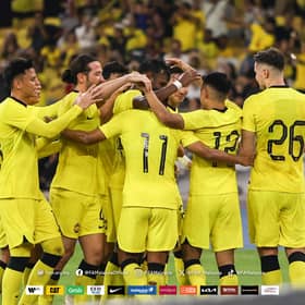 Harimau Malaya masih di bawah jagaan FAM