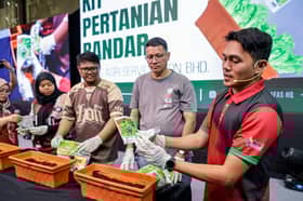 Nafas launches urban farming kit to encourage growing veggies at home