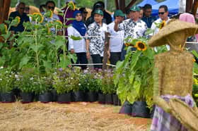 Agro-food sector's GDP contribution a positive economic signal — Minister