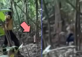 Dua lelaki didatangi harimau ketika asyik memancing di ladang kelapa sawit