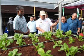 Menteri: Harga sayur di pasaran stabil Mac ini