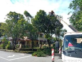 EXCO gesa PBT senggara pokok lebih kerap, elak risiko tumbang