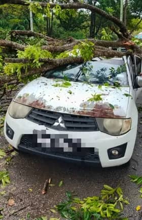 Pacuan empat roda rosak dihempap pokok tumbang di Shah Alam