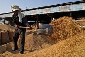 Indonesia considers importing one mln tonnes of rice from India next year