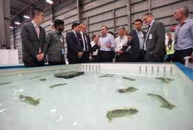 Govt optimistic KLIA can become regional cargo hub — Anthony Loke