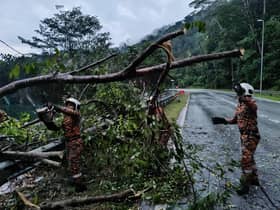 Storm uproots trees in Klang Valley, vehicles damaged