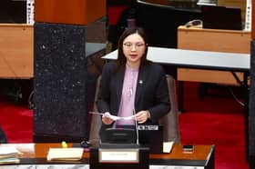 State looks to gazette more permanent forest reserves