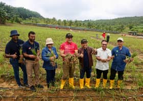 Selangor harvests first Bawang Rose Ehsan onions at 32 tonnes