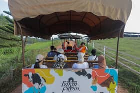 Rancak promosi, Tahun Melawat Selangor terima suntikan RM8 juta