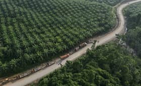 Wilmar Group hands over RM3 bln in Indonesia palm oil graft case