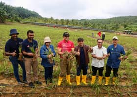 Pertanian negeri jamin kelestarian sumber makanan, kukuh pendapatan petani